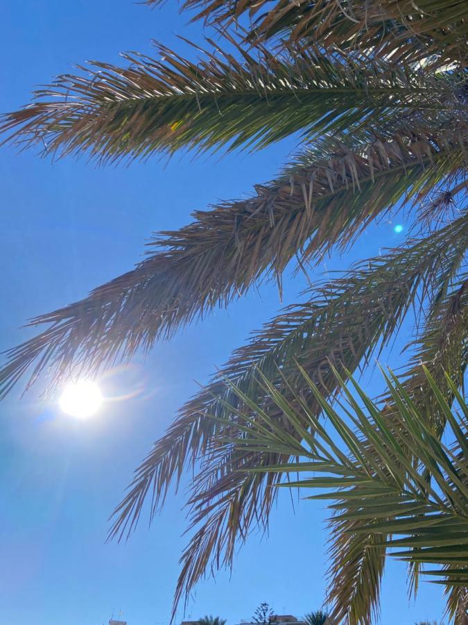 Rafaello Apartment ,,La Zona Cabo Roig, Area Cabo Roig" أوريويلا المظهر الخارجي الصورة